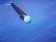Transfer Roller Assy [New]